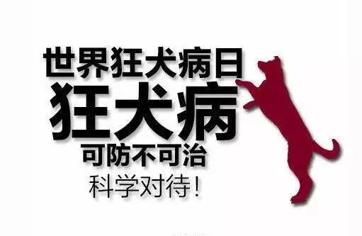 【世界狂犬病日】消除狂犬病，中抗医学检验在行动！