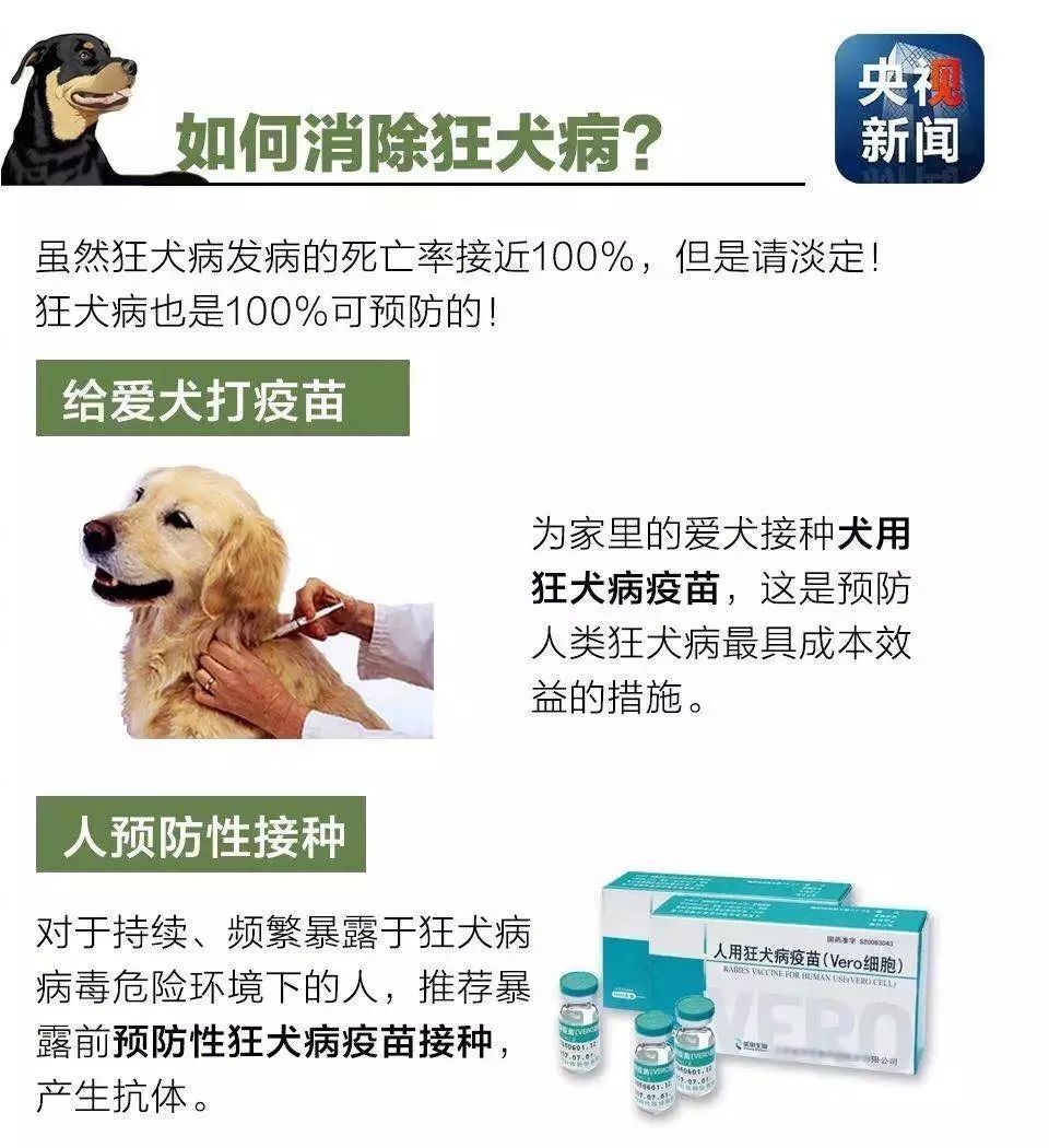 【世界狂犬病日】消除狂犬病，中抗医学检验在行动！