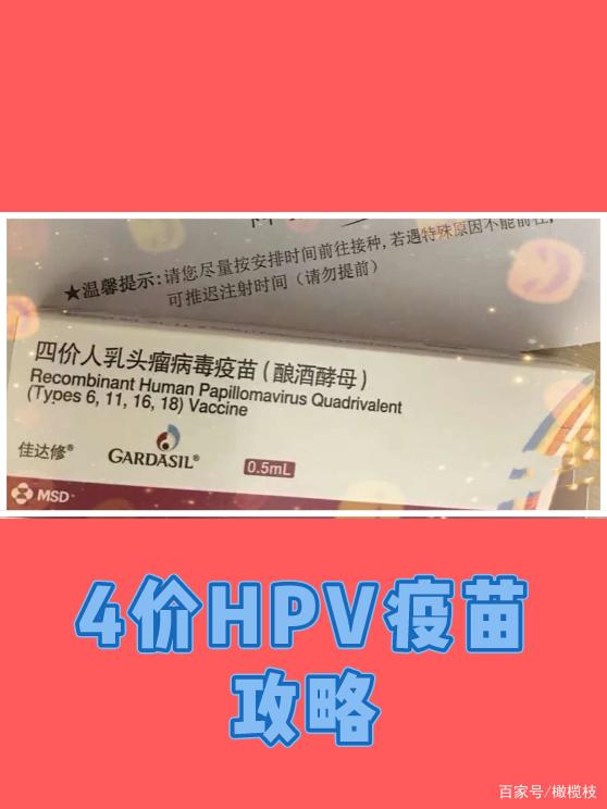 国际HPV知晓日 | 专家呼吁：接种HPV疫苗+宫颈筛查很重要