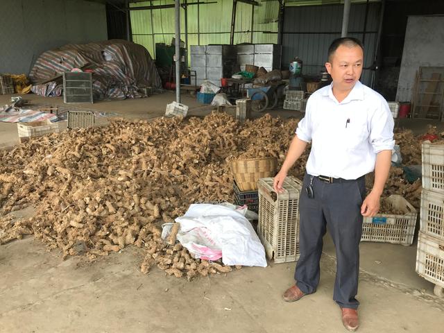 巫溪县天元乡：中药材种植培训 助农增收促发展