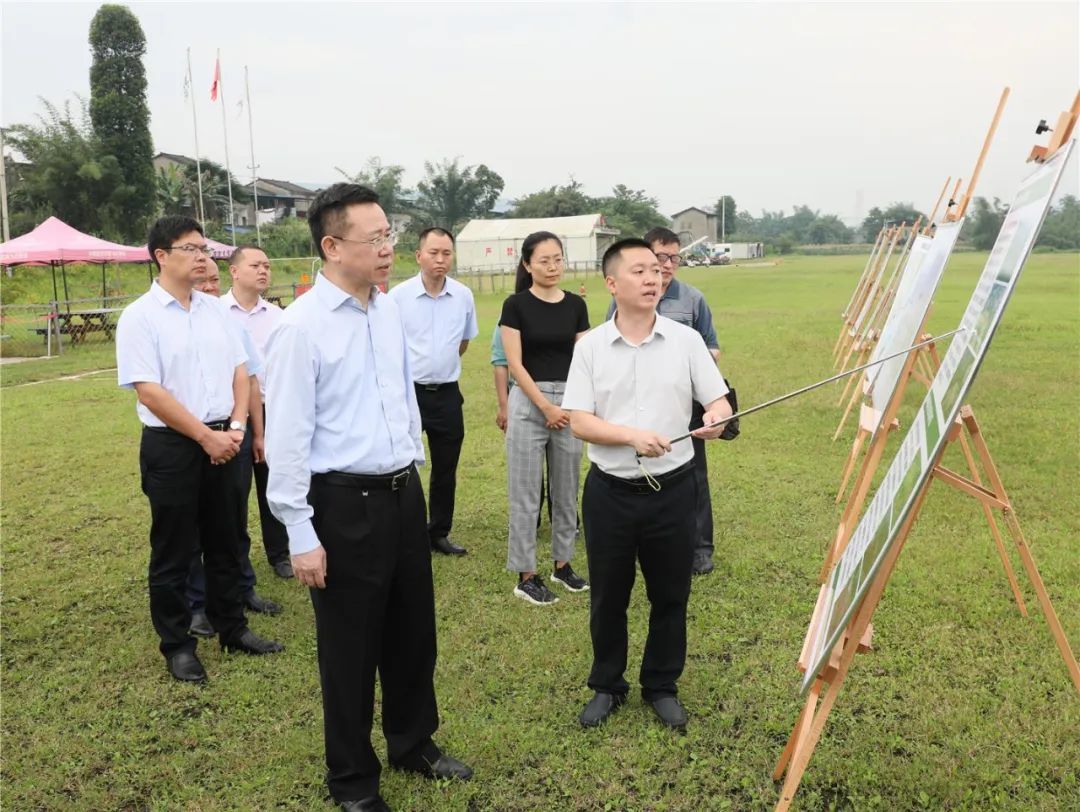 筑牢长江上游生态屏障 巴南区打好生态保护“攻坚战”