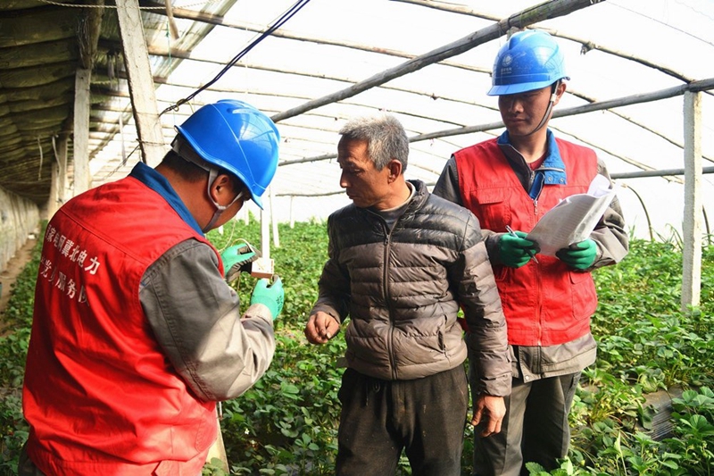 春耕春灌正当时 电力服务来护航