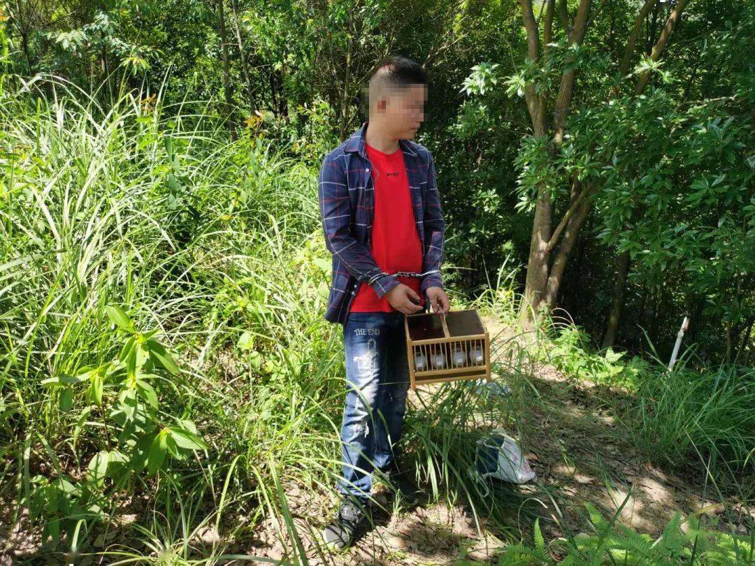 猎捕国家保护野生动物制成腊肉贩卖 男子被批捕