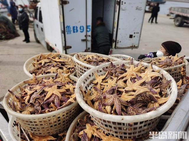 实探 | 重庆二手市场火到外地游客都去打卡了 你知道吗？