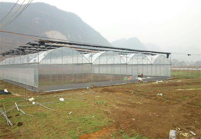 万盛经开区落实农业保险补贴309万 解除农户后顾之忧