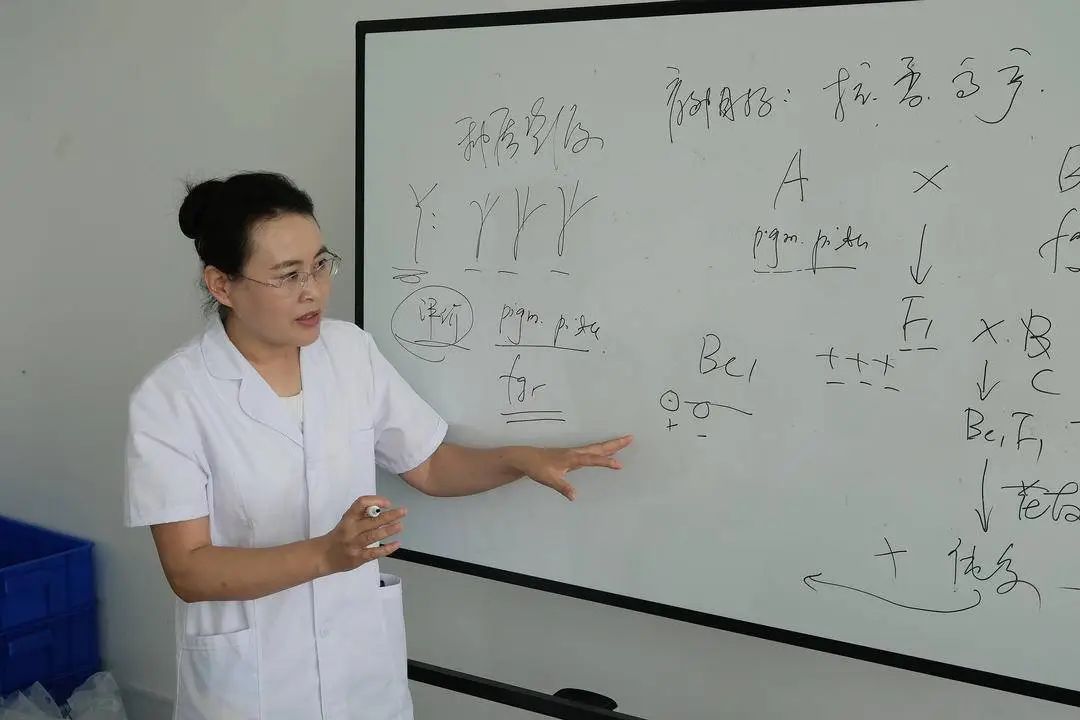 中控技术董秘回复： 近年来，公司持续深耕工业自动化、数字化、智能化等领域，提升科研创新能力