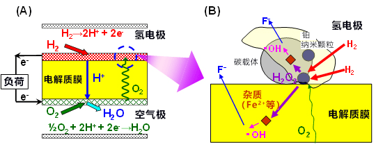 贵研铂业：公司氢燃料电池催化剂目前已进入实验室放大阶段