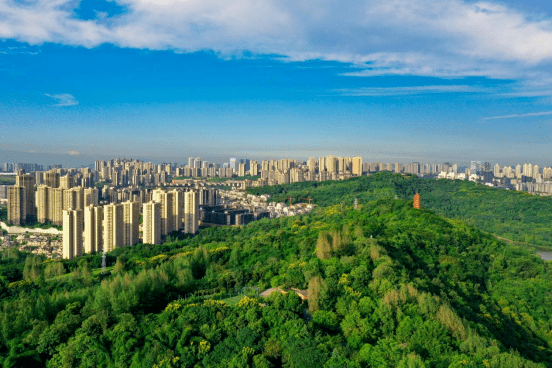 浙商中拓：公司坚持绿色发展战略，积极践行国家“双碳”战略