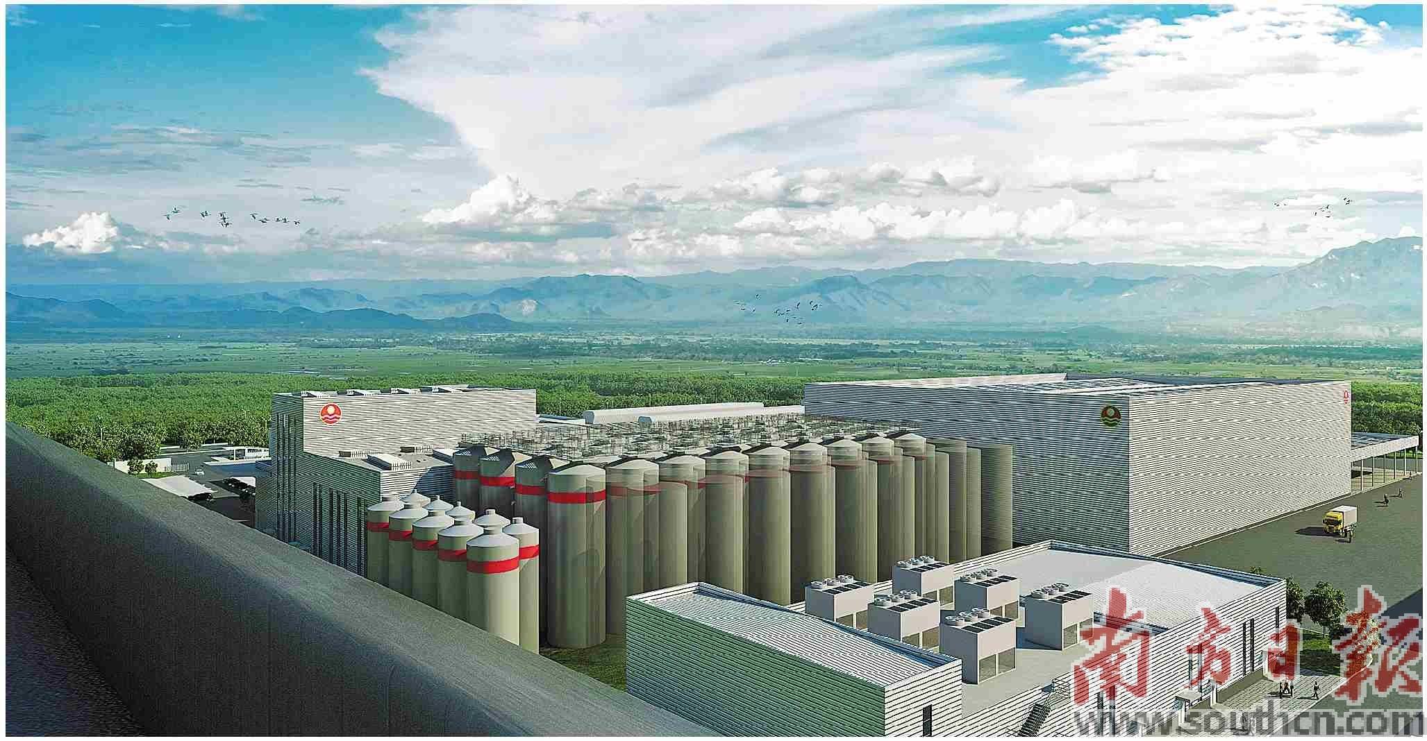 珠江啤酒：公司2024年年度报告预约披露时间为2025年3月28日