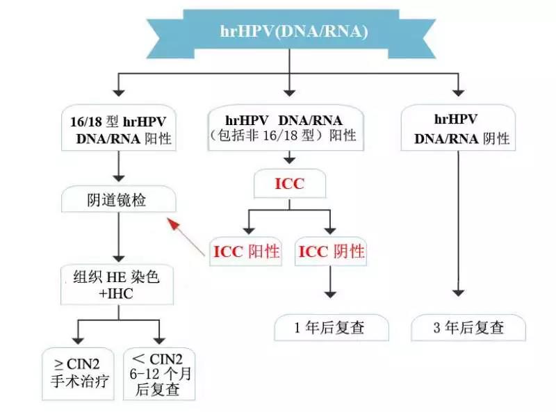新开源:公司子公司呵尔医疗在宫颈癌筛查DNA倍体定量分析领域居国内前三