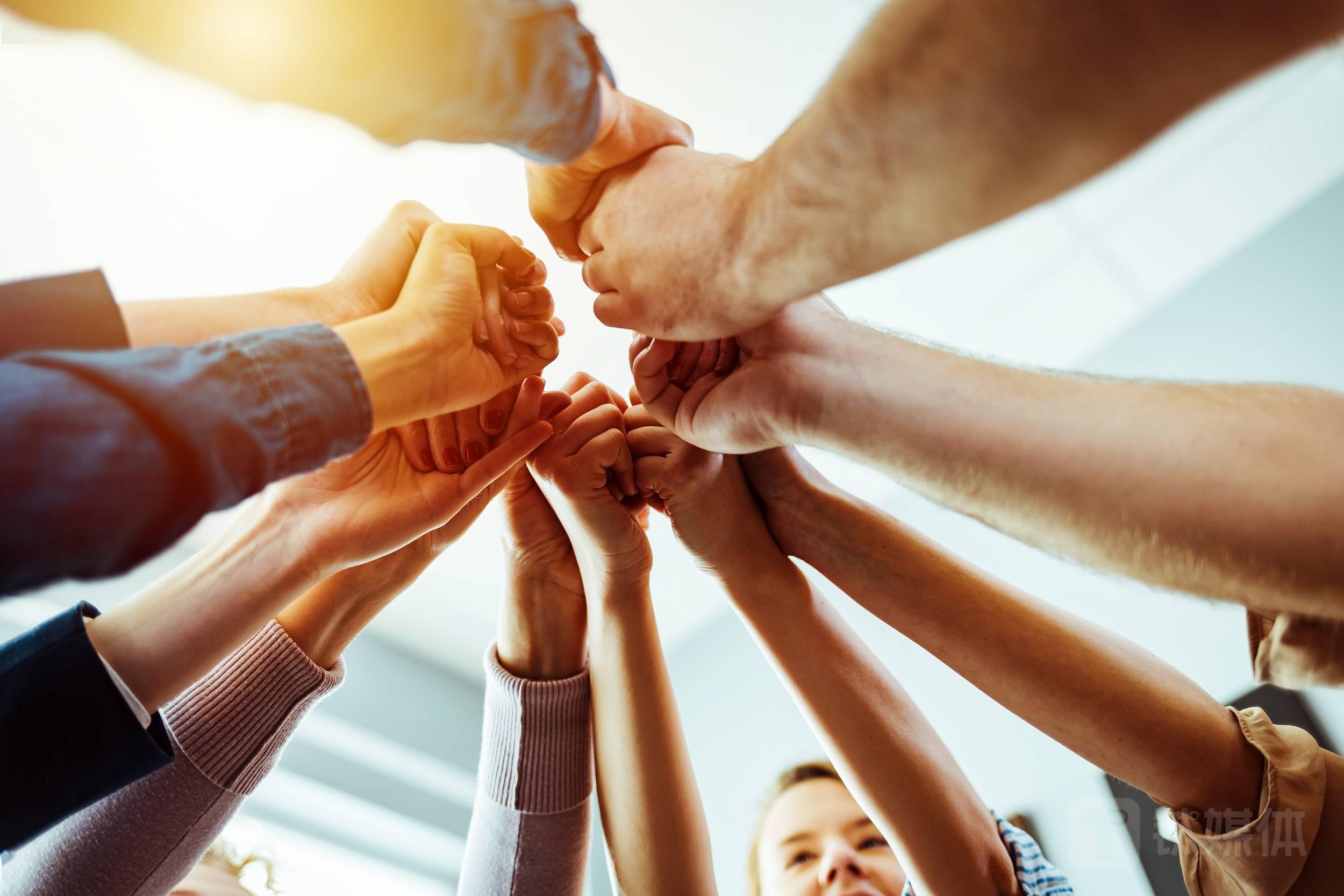 共创草坪：二级市场股价波动受多方面因素影响