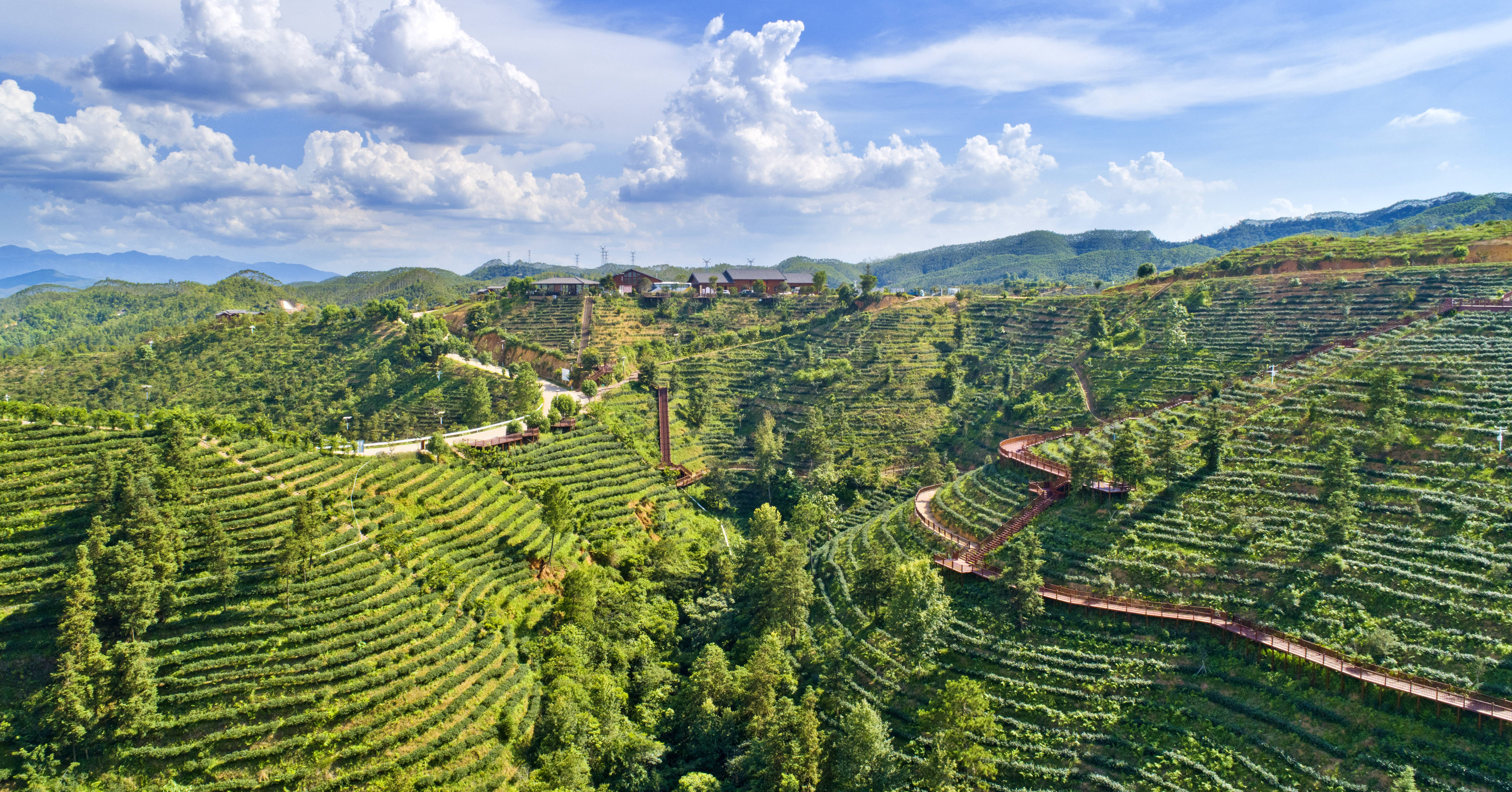 文科股份：公司近年来聚焦生态环境、绿色能源和绿色服务业务