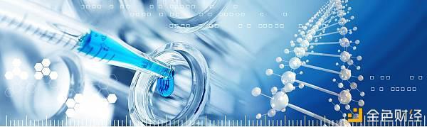 华域汽车：公司希望以持续健康的发展和稳定的经营业绩为全体股东带来长期回报