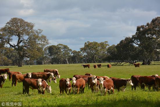 隆基绿能：公司在美国的组件产能主要从美国以外地区进口原材料