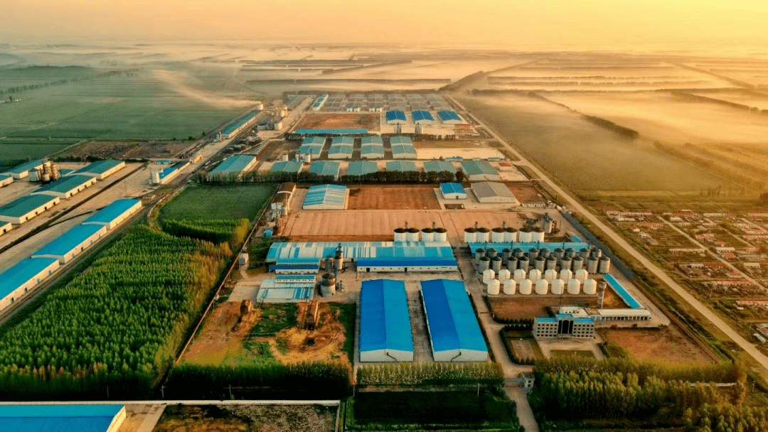 北大荒：构建权利义务关系清晰的国有土地经营制度
