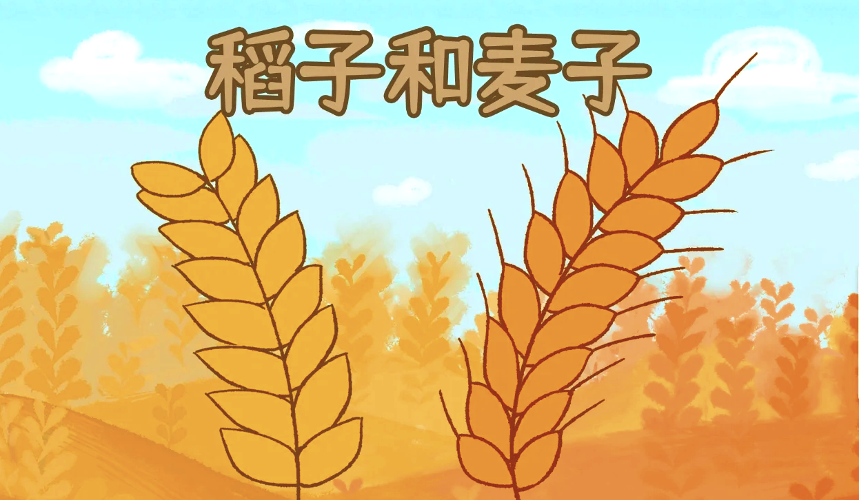 深粮控股：公司的贸易业务主要为小麦、大米、玉米、大麦等原粮的大宗贸易
