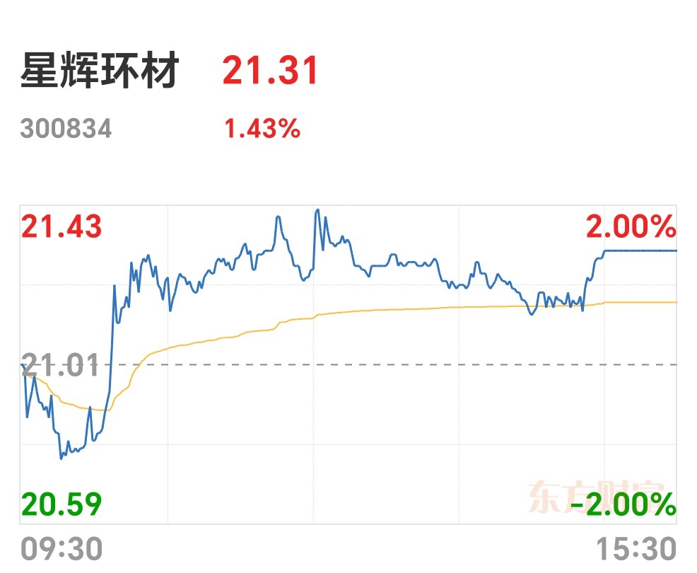星辉环材：公司2024年度利润分配预案为每10股派发现金股利2.60元（含税）