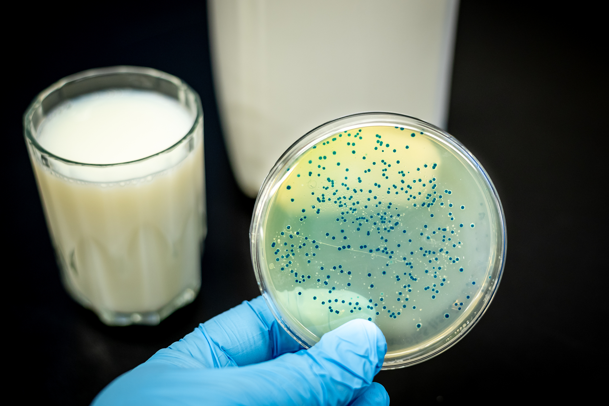 富祥药业：公司年产2万吨微生物蛋白项目正在建设中