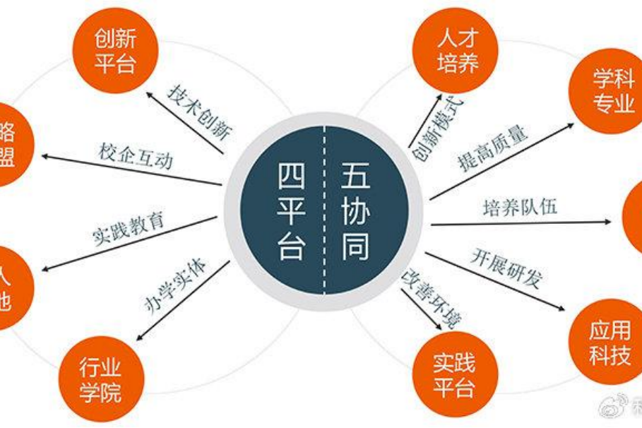 金钼股份：公司重视市值管理，聚焦产业转型升级推动价值成长