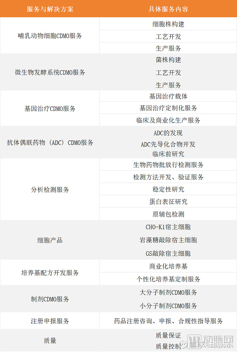 九洲药业：创新驱动的CDMO企业