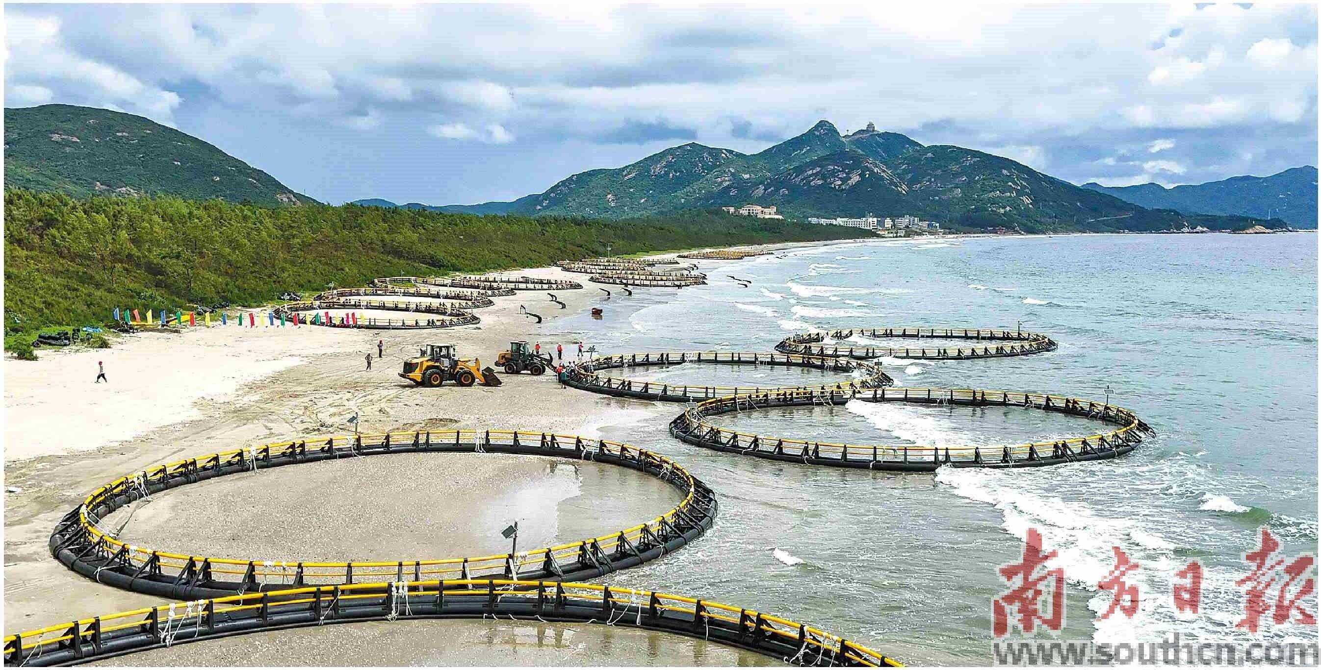 深水规院：截至8月20日股东人数为26,604