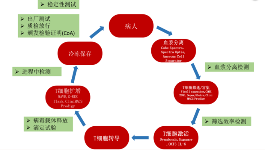 华邦健康：普瑞金CAR-T注射液获FDA孤儿药资格认定