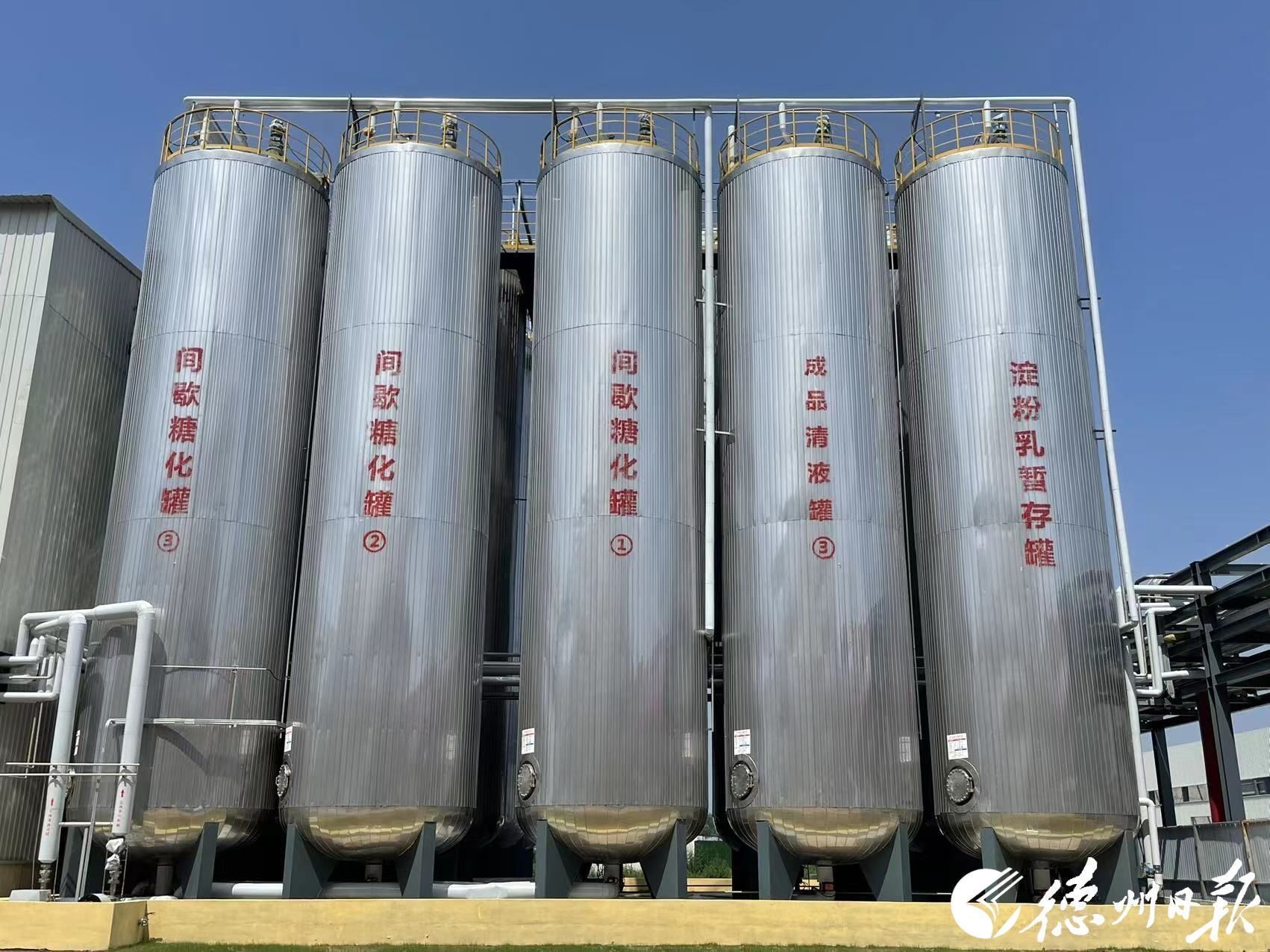 三元生物：发酵法与酶转化法制备阿洛酮糖各有特点