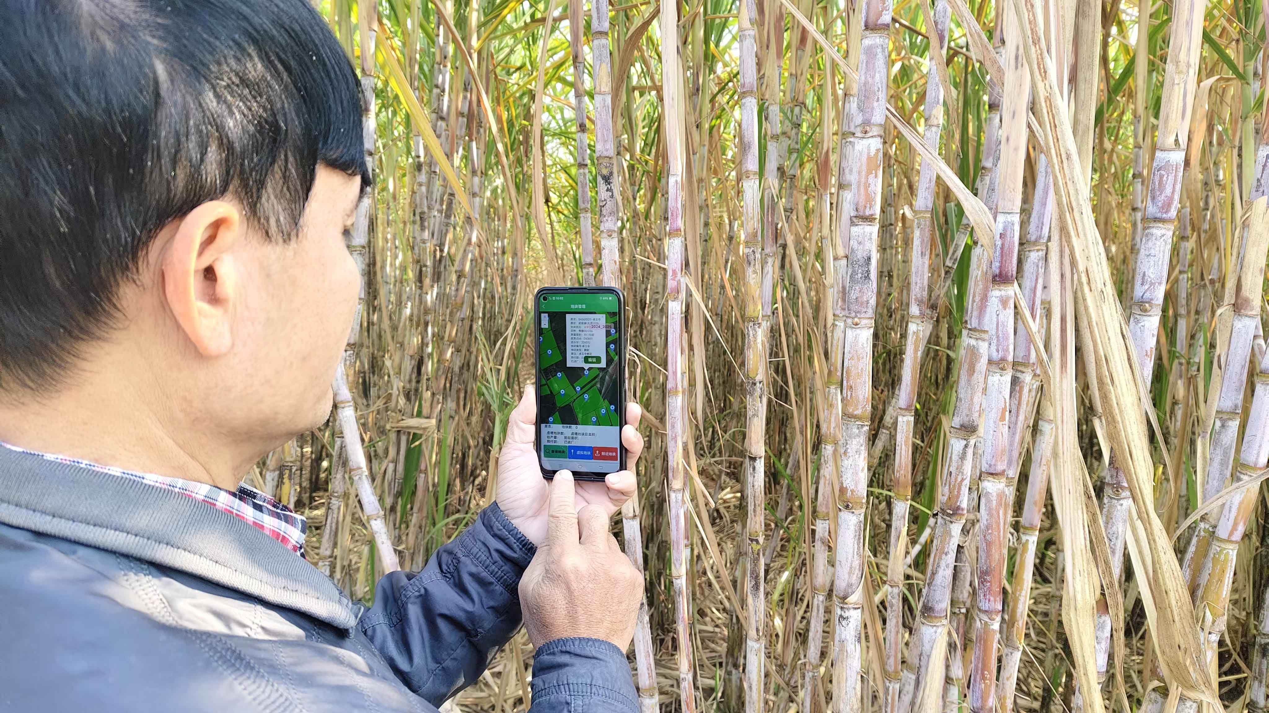 广农糖业:由于未分配利润为负短期内无法弥补亏损