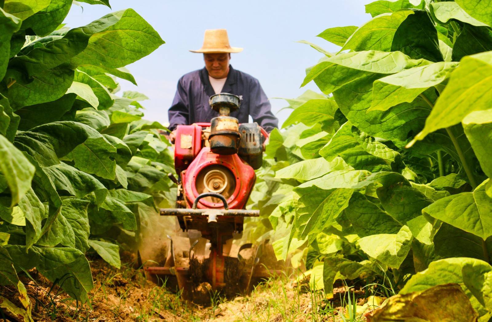 玉禾田:经营性现金流正常保障机器人业务推进