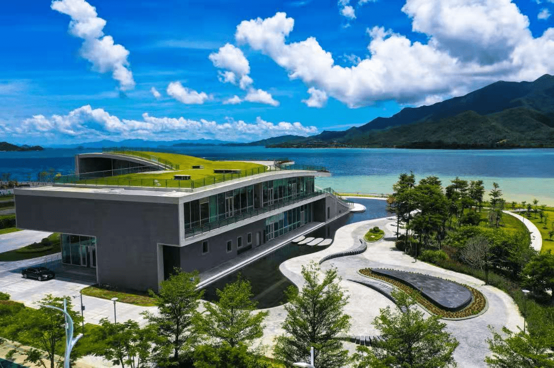 四川双马：积极推进生物医药业务发展