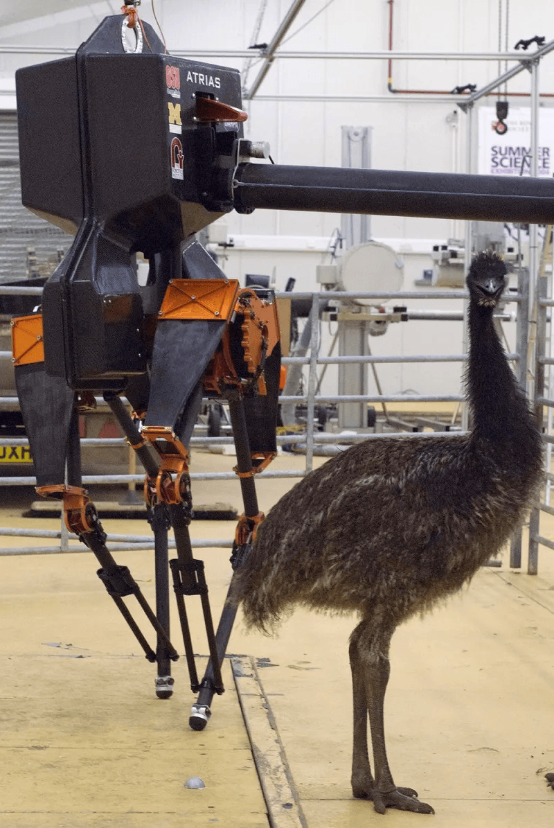 和而泰：目前公司机器人业务暂未与特斯拉进行合作