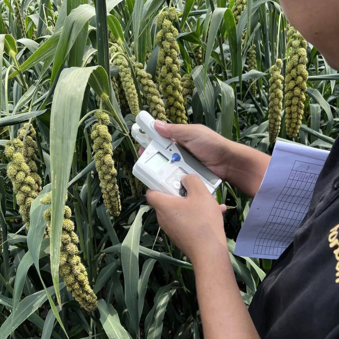 富邦科技：以土壤CT与AI技术构建数字农业体系