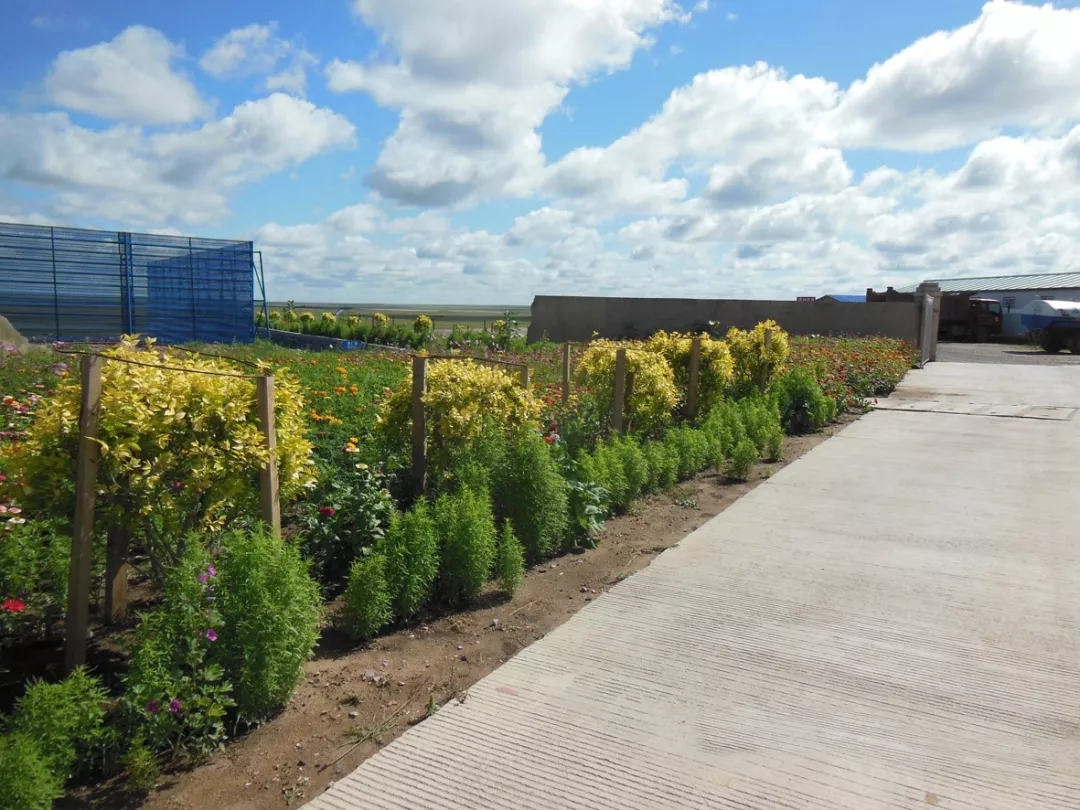 盛达资源：金山矿业选矿作业正常进行