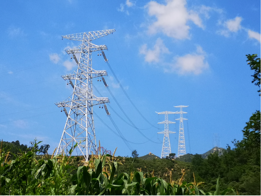 山东威达:公司工商登记变更仅增加电力业务