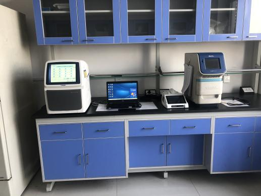 国投丰乐：种子精准设计技术代表现代生物育种前沿方向