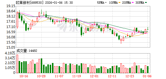 新能泰山：截至2025年12月31日股东户数为51,553户