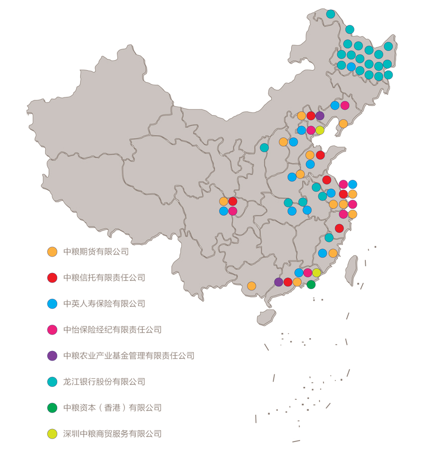 中粮资本：专注提升核心竞争力