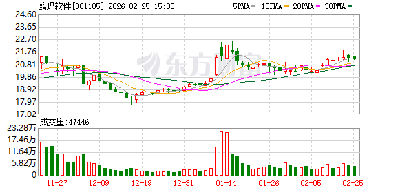 公元股份:截至2026年2月10日,公司股东人数为32107人