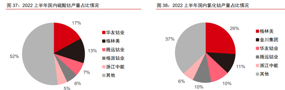 腾远钴业：年产30,000吨铜2,000吨钴湿法冶炼厂项目