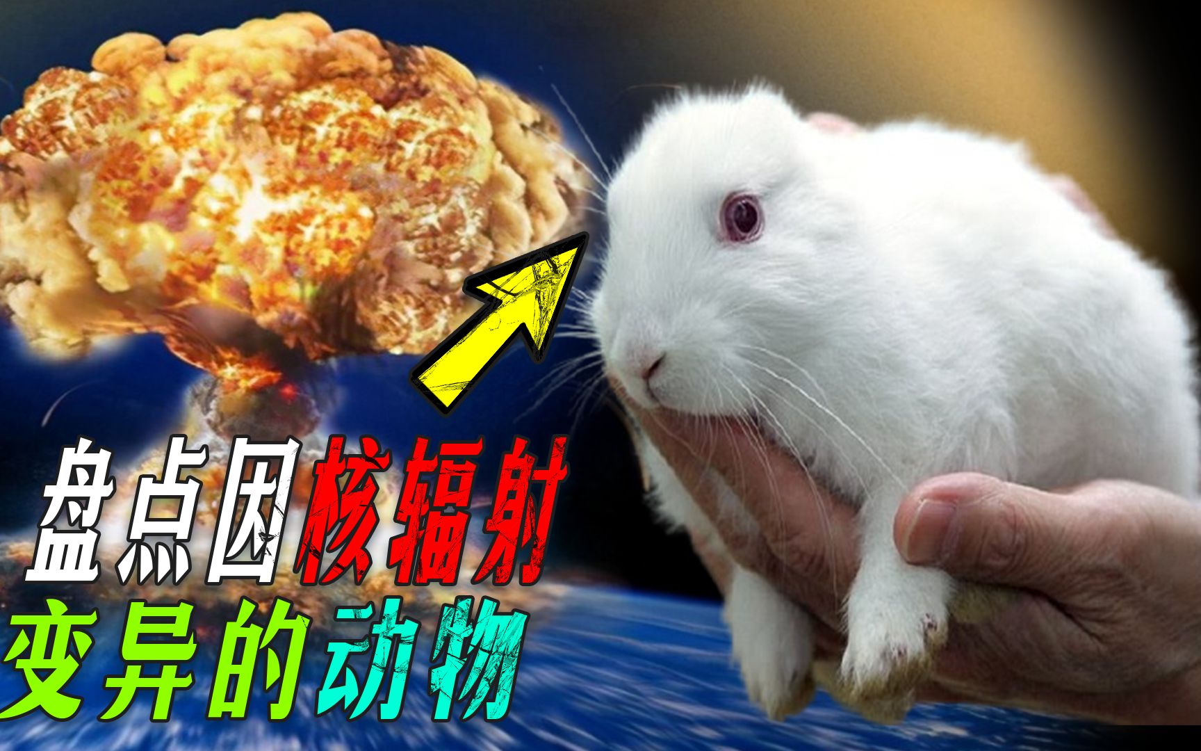 捷强装备：核辐射检测和核防护方面产品品目涵盖了便携式辐射监测仪表、个人防护监测仪表、在线/固定式辐射监测仪表、核应急救援环境监测及辐射防护设备、实验室测量装置、计量标准装置等6大类，70余种不同规格的核辐射仪器仪表