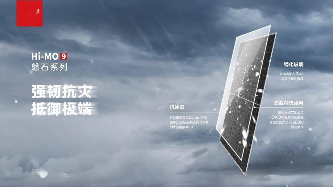 隆基绿能:公司Hi-MO X10组件量产最高转换效率达到24.8%